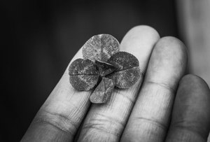 5 cách đọc biểu phí